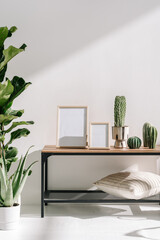 Blank space picture frame, houseplants and home decor