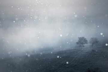Fototapeta premium winter landscape, snow flakes falling on the hills