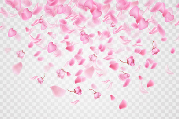 Pink falling sakura petals and flowers.Nature horizontal background.