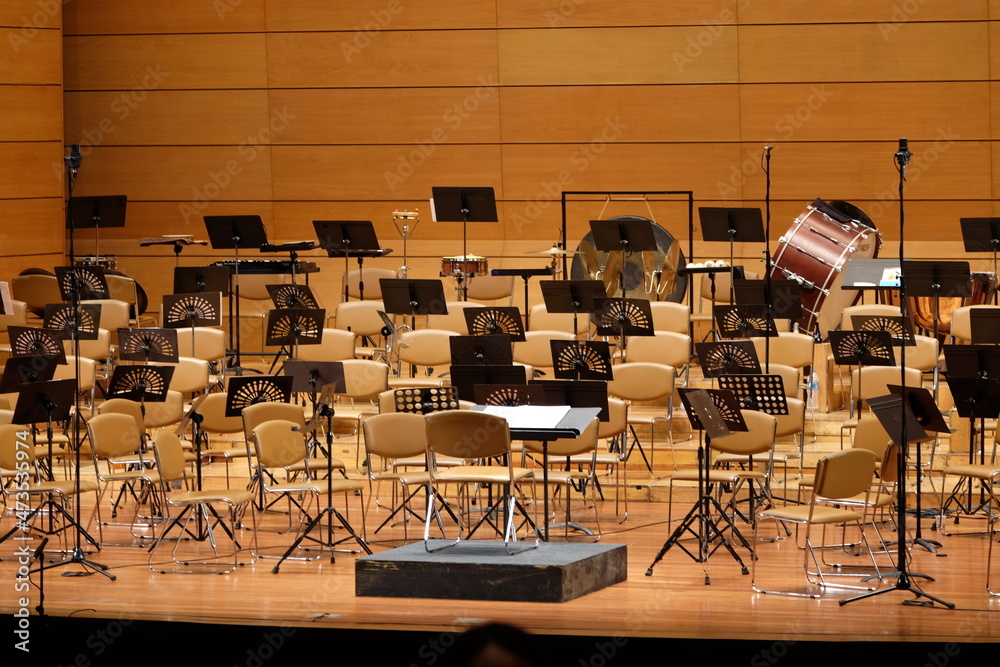 Wall mural seating for the symphony musicians before the show begins