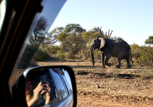 Woman reflecting on side-view mirror of car while taking pictures of elephant at Bwabwata National Park, Namibia