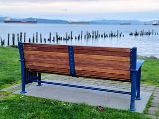 bench in the park