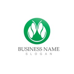 Obraz premium Logos of green Tree leaf ecology