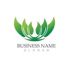 Fototapeta premium Logos of green Tree leaf ecology