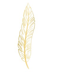 Gold feather isolated vector illustration. Beautiful graceful golden bird feather, decoration for cards or design