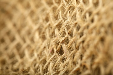 Macro detailed image of organic jute fiber,