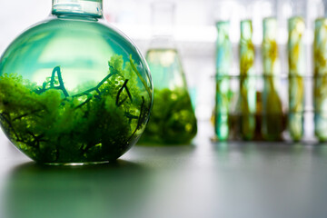 green alga laboratory research, alternative biofuel energy technology, biotechnology concept