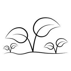 A few plants and a ground contour