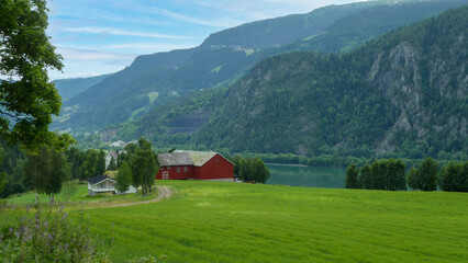 Norwegian landscape in the fjord