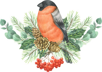 Watercolor Christmas  arrangements with winter birds - bullfinch and red cardinal? winter floral - pine cone, pine branch, spruce branch, holly, poinsettia.