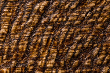 Brushed wood covered with dark wax. Ultra macro photography