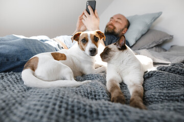 Cat and dog by mature man using smart phone while lying on bed at home