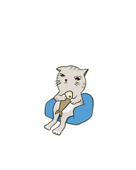 Cat sit on  sofa