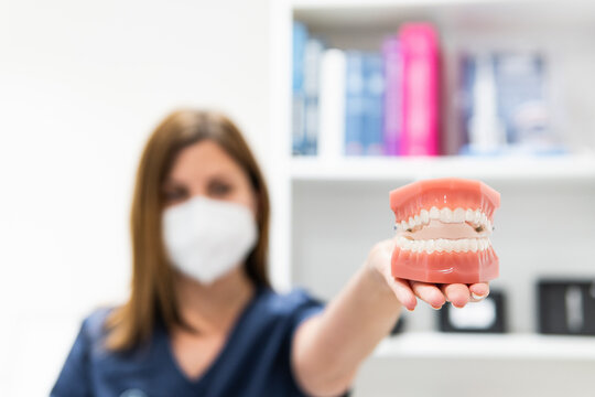 Female dentist holding dentures at clinic during COVID-19