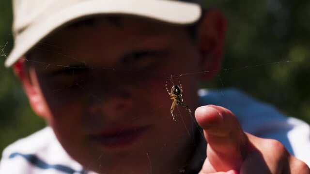 Little boy exploring wildlife and looking at a spider in the web outdoors on a summer sunny day. Creative. Close up of an insect and the blurred boy face behind the web.