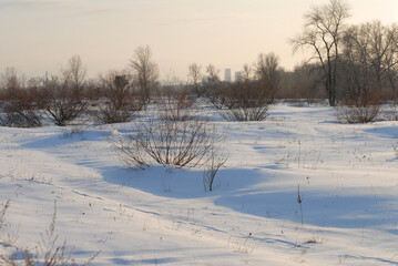 A background of pure snow in the bright sun. A winter landscape with a snow-covered field and a forest in the distance.