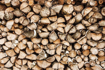 Tree cut cross section texture. Wood industry background. Chopped wood texture. Firewood background. Stacked tree logs pattern. Pile of raw tree wood in forest. Wood industry background.