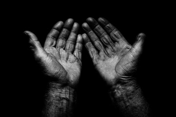 Fototapeta premium working hands