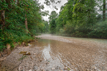 Stream Through the trees