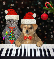 A grat cat and beige dog play the piano and sing Christmas songs in a nightclub.