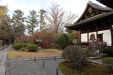 Benten-sha Subordinate Shrine and Hon-dou Main Hall and autumn leaves in the precincts of Kouryu-ji Temple at Uzumasa in Kyoto City in Japan 日本の京都市太秦にある広隆寺境内の摂社弁天社と本堂と紅葉