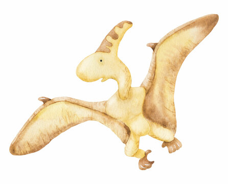 Watercolor pteradactyl. Perfect for printing, web, textile design, souvenirs, scrapbooking.