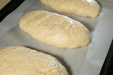 a piece of dough prepared for baking bread or cake