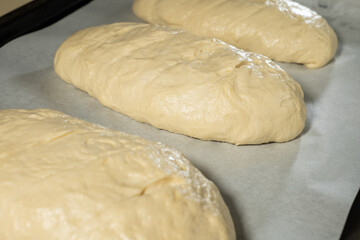 Fototapeta na wymiar a piece of dough prepared for baking bread or cake