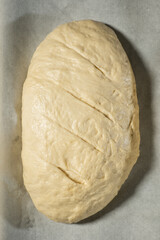 a piece of dough prepared for baking bread or cake