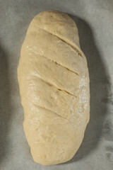 a piece of dough prepared for baking bread or cake