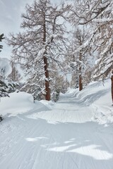 Winter Snowy Mountain Landscape