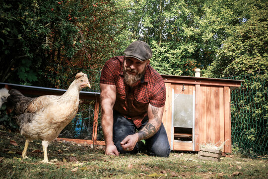 Man in his own garden, man feeding free range chicken