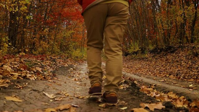 Walk in a beautiful natural autumn park. Female traveler legs in light leather boots goes off-road through the forest with yellow and orange leaves
