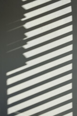 Fototapeta premium close up of a black and white background