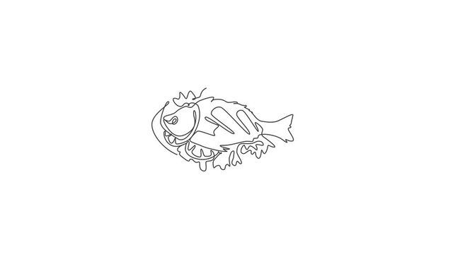 Animated self drawing of one continuous line draw fresh delicious baked sea fish on plate restaurant logo emblem. Seafood menu cafe shop logotype template concept. Full length single line animation.