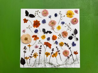 Colorful pressed dried edible flowers for cake decoration