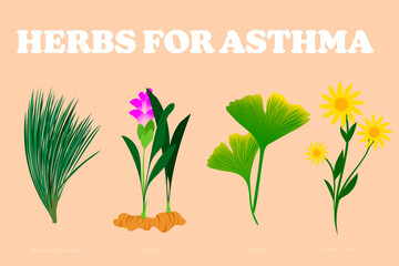 Herbs for Asthma - Set of natural  alternative Treatment