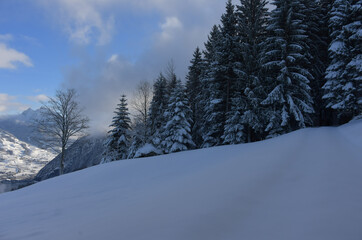 Winter Landschaft