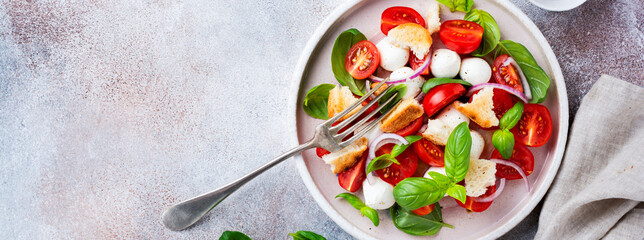 Traditional Italian salad Panzanella with cherry tomatoes, mozzarella cheese, basil and bread in...