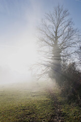 Fototapeta na wymiar Foggy Landscape in Aveyron France