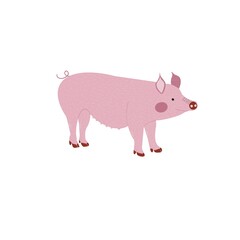 Pink pig. Farm. Pet. Piggy illustration. Isolated. On white background. Logo
