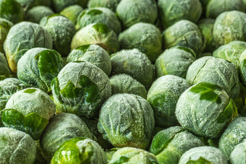 Fototapeta premium frozen brussels sprouts background closeup