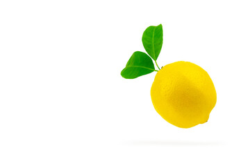 Lemon fruit with leaves in air. Tropical organic lemon fruit, citrus, vitamin C. Lemon slices.