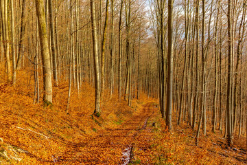 Winterwanderung durch die wunderschöne Vorderrhön bei Dermbach - Thüringen