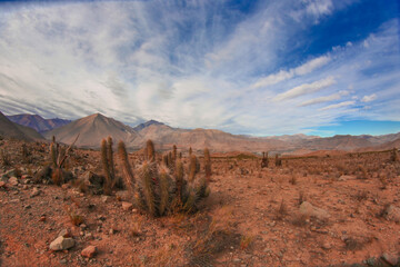 Naklejka premium Atacama Desert