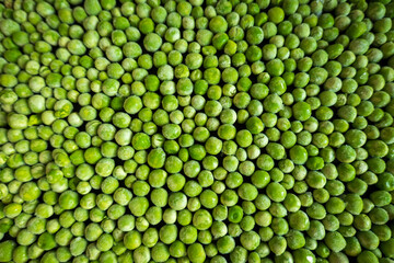 Fototapeta na wymiar frozen frosty green peas background closeup