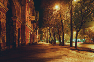 Fototapeta na wymiar Night empty street in the city of Voronezh