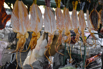 Obraz na płótnie Canvas Traditional sun dried squid, popular street food in Cambodia