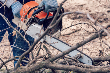 Hands Of Worker Cutting The Log By Chainsaw Machine With Sawdust Splash Around