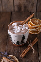 Cocoa with marshmallows, cinnamon and dried oranges